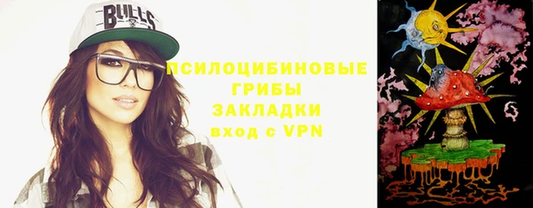 2c-b Осинники