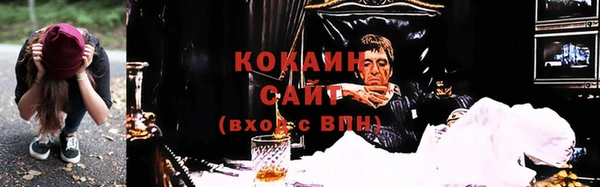 PSILOCYBIN Осташков