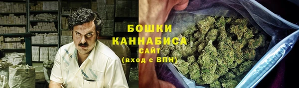 PSILOCYBIN Осташков