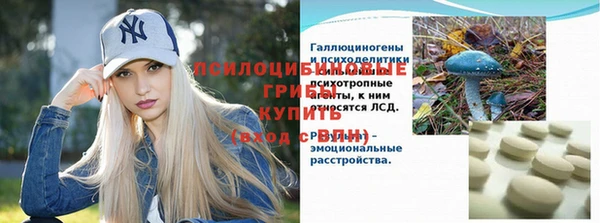 2c-b Осинники
