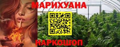 индика Аргун