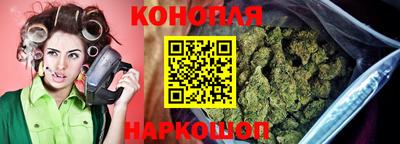 индика Аргун