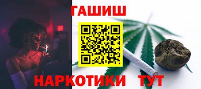 индика Аргун