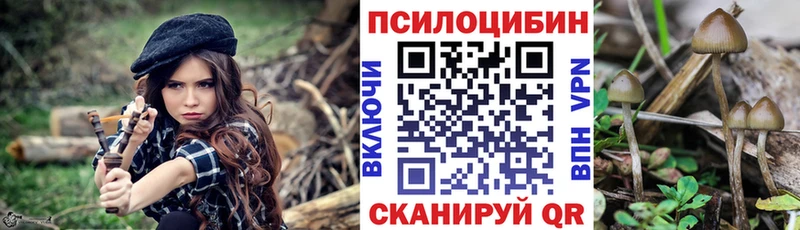 Псилоцибиновые грибы Cubensis  Апшеронск 