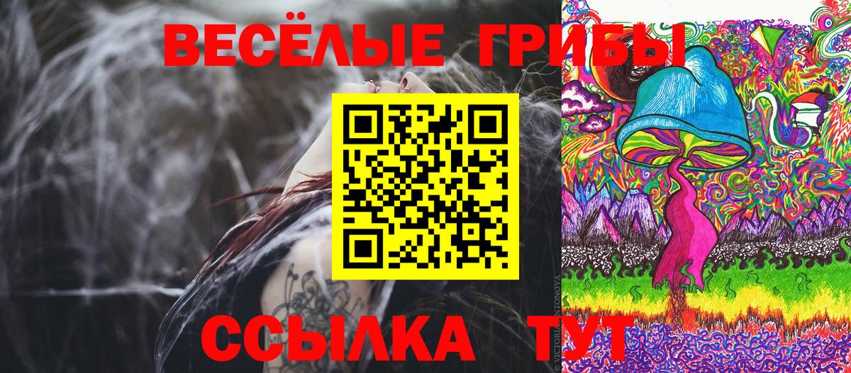 Апшеронск  Галлюциногенные грибы мицелий  Галлюциногенные грибы мицелий  Вход с VPN 